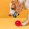 Pet's accessories